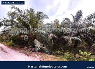 Hartanah Lelong — NO XX PTD 6067, NO XX 1844, MUKIM AYER HITAM, 0, DAERAH MUAR, Johor — gambar 2