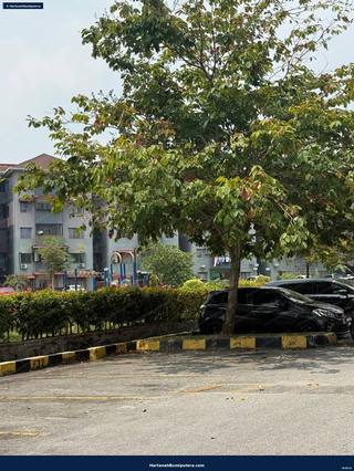 Levl 1 matured area : Pangsapuri Putra Indah Seri Kembangan — gambar 3