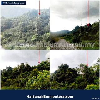 Hartanah Lelong — LOT XX, JALAN KG. PISANG MENGGALA, 16800, PASIR PUTEH, Kelantan — gambar 2