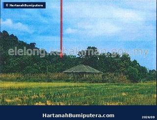 Hartanah Lelong — LOT XX, Kg Bukit Jawa, Mukim Selising, 16810, Pasir Puteh, Kelantan — gambar 2