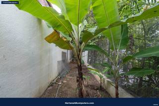 Freehold Semi D : 2 storey Taman Setia Balakong — gambar 2