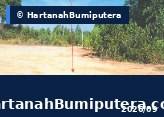 Hartanah Lelong — GM XX, Lot XX, Mukim Tengah, 18500, Machang, Kelantan